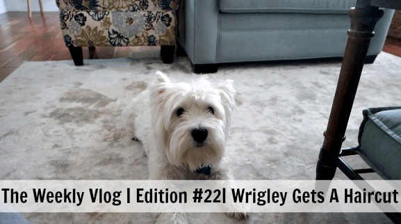 The Weekly Vlog Edition #22 Wrigley Gets A Haircut